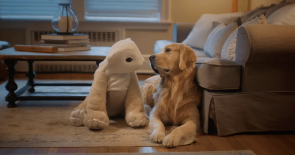 Colin Angle lance Familiar, un robot de compagnie avec IA générative